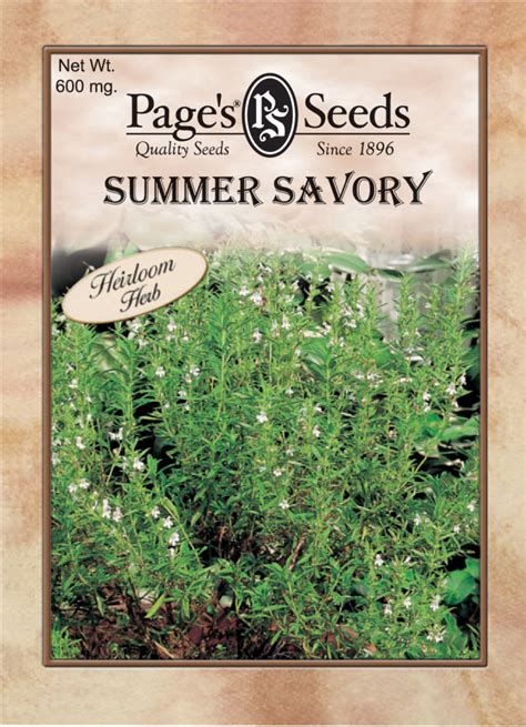 Summer Savory Herb The Page Seed Company Inc