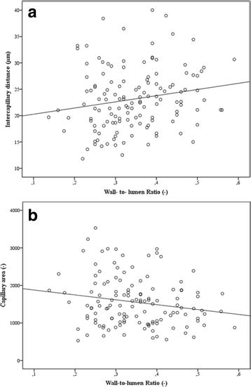 Correlation Of Retinal Capillary Density And Wall To Lumen Ratio In