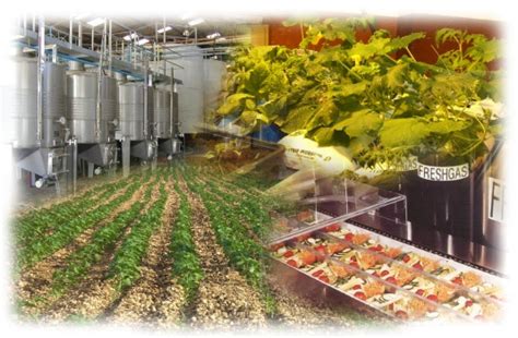 Ingeniería Agroalimentaria Todo Lo Que Debes Saber