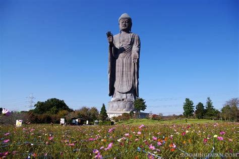 Ushiku Daibutsu - Alchetron, The Free Social Encyclopedia