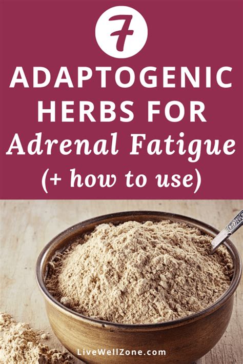 Adaptogenic Herbs For Adrenal Fatigue A Complete Guide Artofit