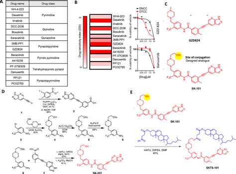 Selection Of The Drug Candidate And Introducing Dtc Targeting