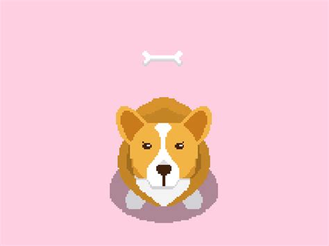 Old Fashioned Pixel Style Corgi By Changchang Liu On Dribbble