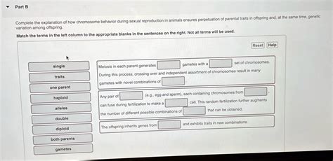 Solved Part B Complete The Explanation Of How Chromosome Behavior During Sexual Reproduction In