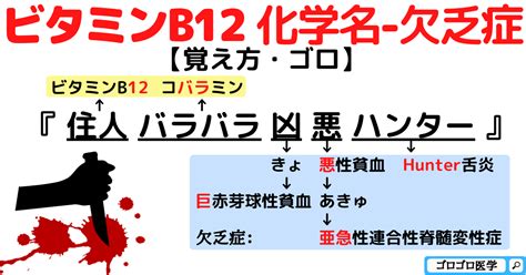 【ビタミンb全8種類まとめ】化学名（別名） 欠乏症 補酵素の覚え方・ゴロ ゴロゴロ医学