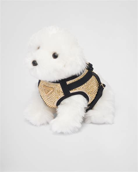 Platinum Crystal-studded satin dog harness | Prada