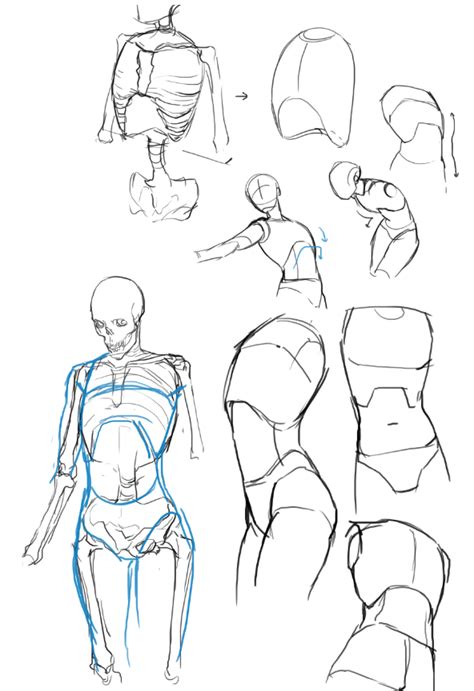 Pin By JunHo Yu On Reference Drawings Drawings Anatomy Art Figure