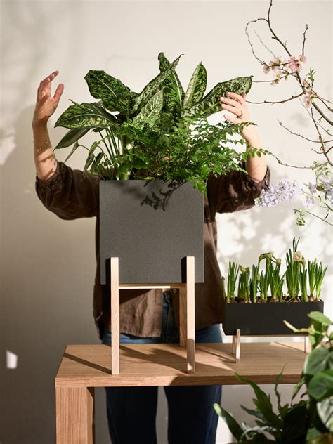 Botanic Collection – Design House Stockholm
