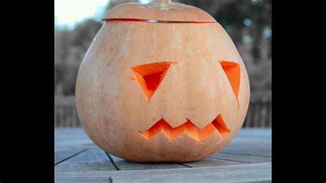 Pumpkin, Squash, Halloween. Free Stock Video - Pixabay