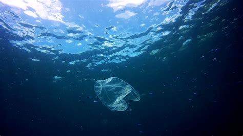 Turning the tide on plastic pollution