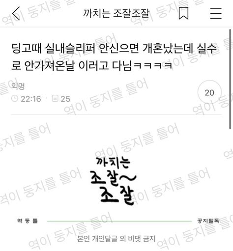 딩고때 실내슬리퍼 안신으면 개혼났는데 실수로 안가져온날 이러고 다님ㅋㅋㅋㅋ https t co M9uD9qmYlZ 인스티즈