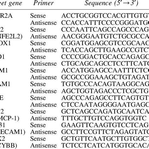 Primers Used For Analysis Of Human Gene Expression By Real Time