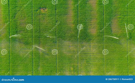 Aerial View On High Pressure Agricultural Water Sprinkler Sprayer