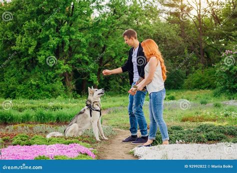 A Young Couple Walking a Dog in the Park Stock Photo - Image of forest, beautiful: 92992822