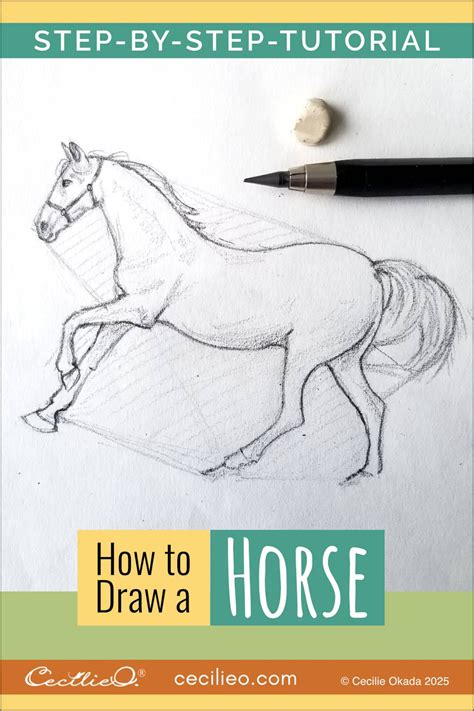 How To Draw A Horse Step By Step