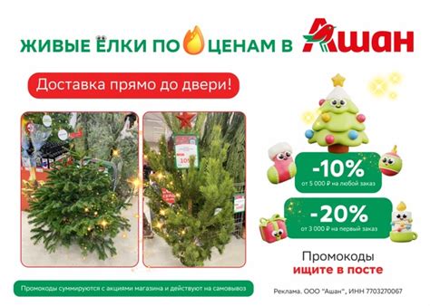 В АШАНЕ ЖИВЫЕ ЁЛКИ Живые елки по отличным ценам можно купить в Ашане ...