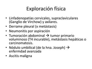 Neoplasias Malignas Del Est Mago Ppt