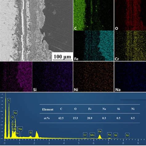 Cross Sectional Morphologies And EDS Mapping Results Of The Element