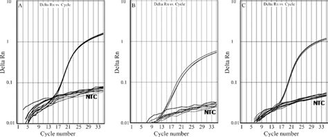 Plots Showing Real Time Pcr Amplification Of Singleplex Assays