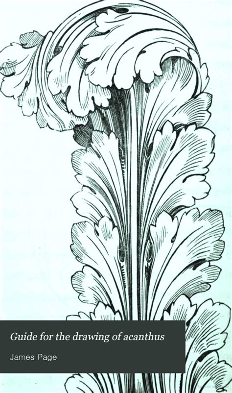 Guide For The Drawing Of Acanthus And Every Description Of Ornamental