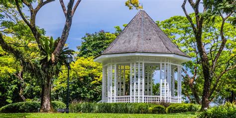 5 Facts About The Singapore Botanic Gardens