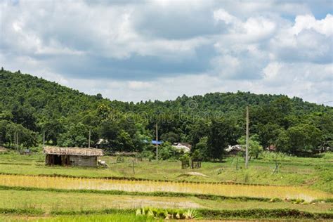 Belpahari Jhargram West Bengal India A Newly Instaled Indian Hand