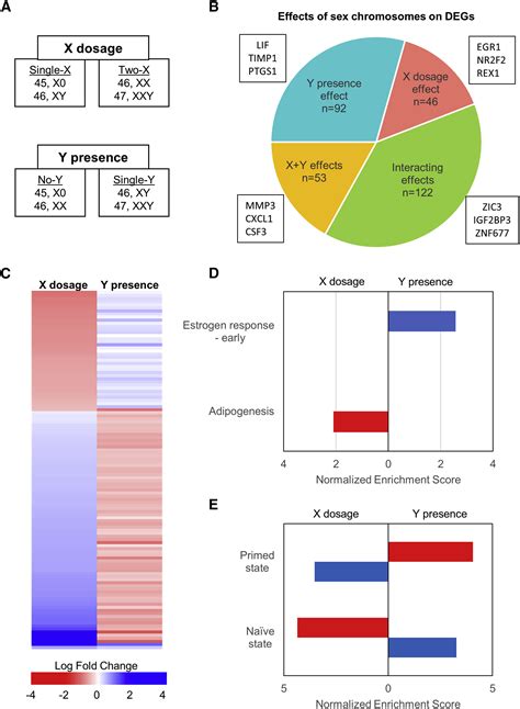 Modeling Sex Differences In Humans Using Isogenic Induced Pluripotent