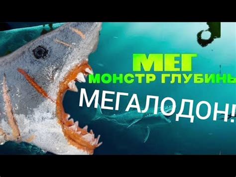 Обзор на Мегалодона из МЕГ монстр глубины YouTube