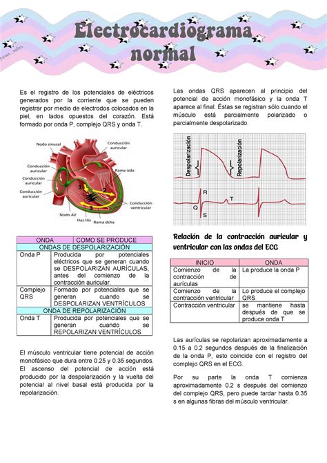 Resumen de electrocardiograma normal Capitulo 14 de Fisiología de