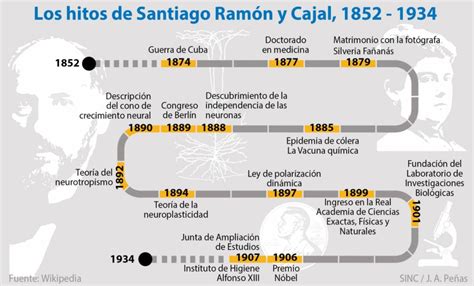 Santiago Ram N Y Cajal El Nobel Espa Ol Que Dibuj Los Secretos De Las