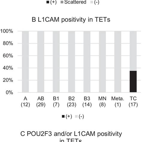 Of Pou F And L Cam Positivity In Thymic Epithelial Tumors A Type A