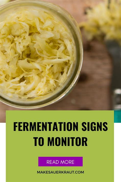 Salty Cabbage To Sour Sauerkraut Signs Of Fermentation Fermented