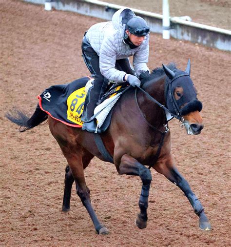 【注目馬動向】カイザーメランジェは北九州短距離sで初の小倉参戦へ Umatoku 馬トク