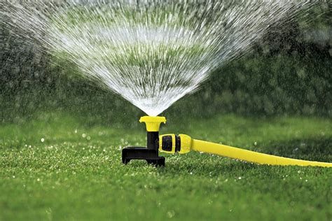 5 Best Sprinkler Pumps For Your Sprinkler System TheFragrantGarden