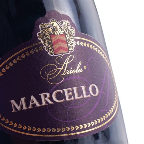 Lambrusco Marcello Il miglior Vino Rosso Frizzante al Mondo