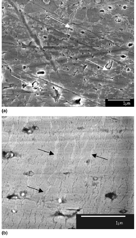 Feg Sem Micrographs Showing A Micro Cracks At The Entry Arrows