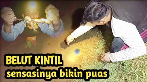 Super Duper Ganas Mancing Belut Malam Hari Tarikannya Luar Biasa Youtube