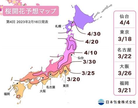 【桜開花予想2023】東京で3月18日頃に開花がスタートし、続いて甲府・高知でも開花し始める予想（2月16日発表）｜花見特集2025