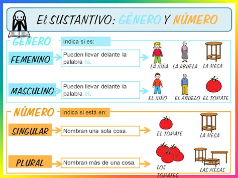 Clase El Sustantivo GÉnero Y NÚmero