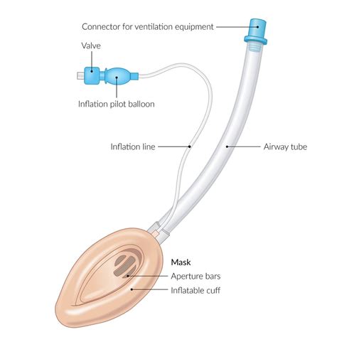 Airway Management Knowledge Amboss 46 Off