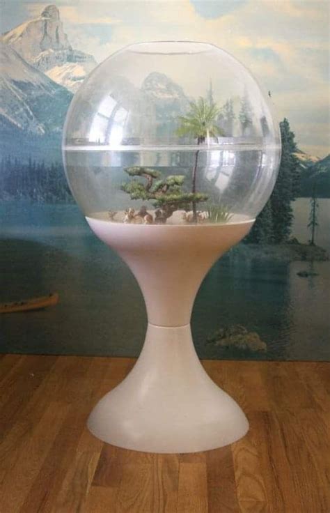 Pin By Nika Dubrovsky On Design 60 70 Terrarium Large Terrarium