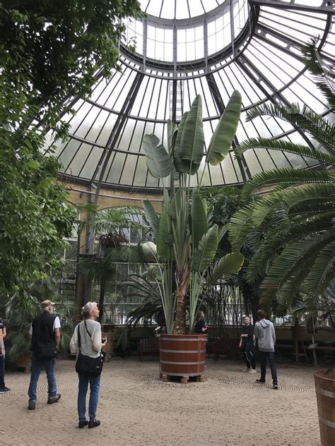 Botanic Garden in Amsterdam Photo Heatheronhertravels.com | Heather on ...