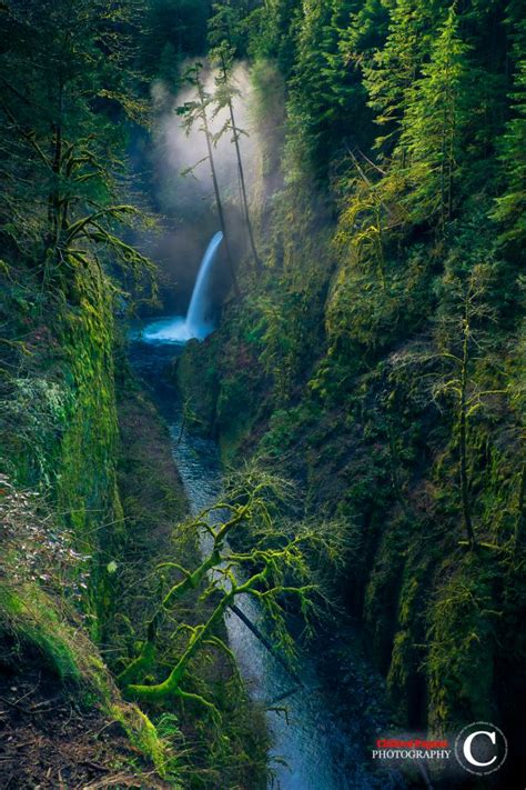 23 Must See Waterfall Hikes Oregon You Can't Miss in 2023