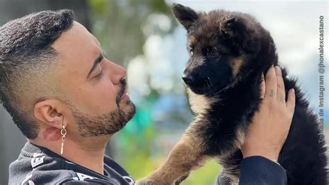 Jhon Alex Castaño Salvó A Cachorro Debajo De Un Puente