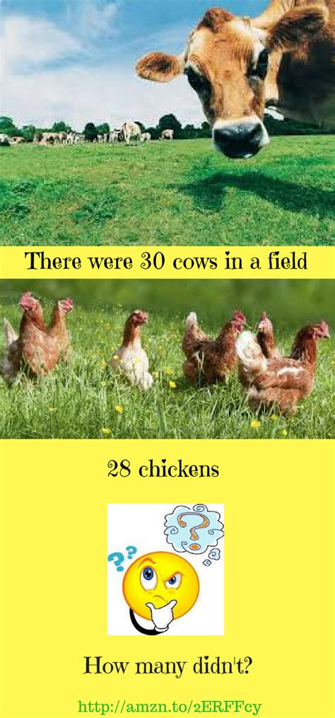 30 Cows In The Field 28 Chickens Maths Puzzles For 9 Year Olds Riddle ...