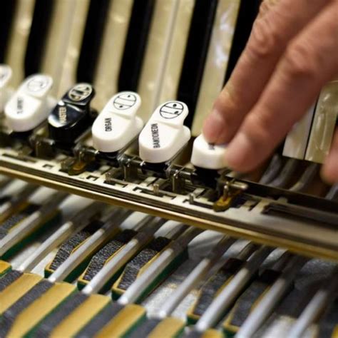 REPAIR – Accordion Man