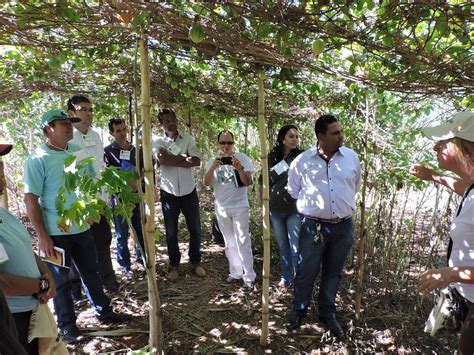 EMATER Pipiripau EMATER DF E EMBRAPA Realizam Dia De Campo Sobre