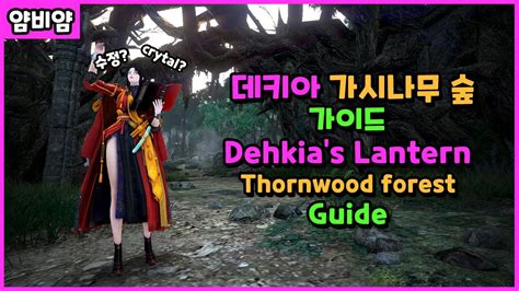 Bdo Dehkia Thornwood Forest Guide Youtube