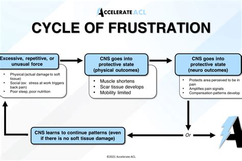 The Ultimate ACL Surgery Recovery Blog - Accelerate ACL