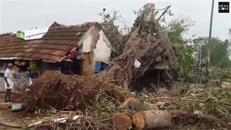 Gaja Cyclone Brings A Mass Devastation In The State Of Tamil Nadu In